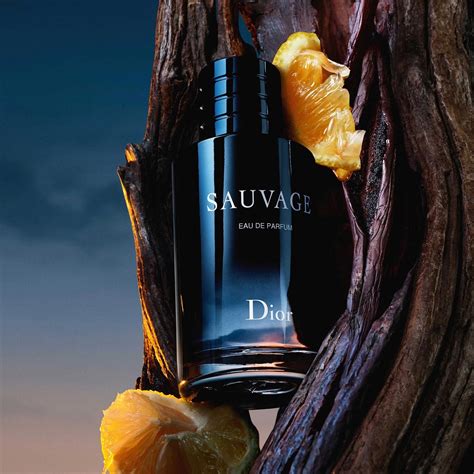 dior sauvage vanille|sauvage fragrance.